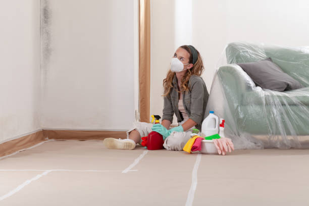 Reliable Commercial Mold Remediation contractor in Oldtown, MD by WQB Mold Removal