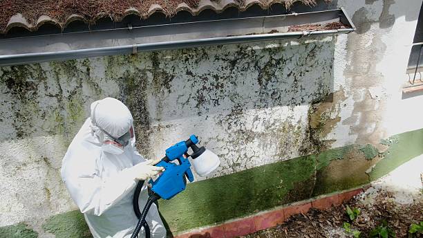Top rated local Commercial Mold Remediation specialists in Oldtown, MD